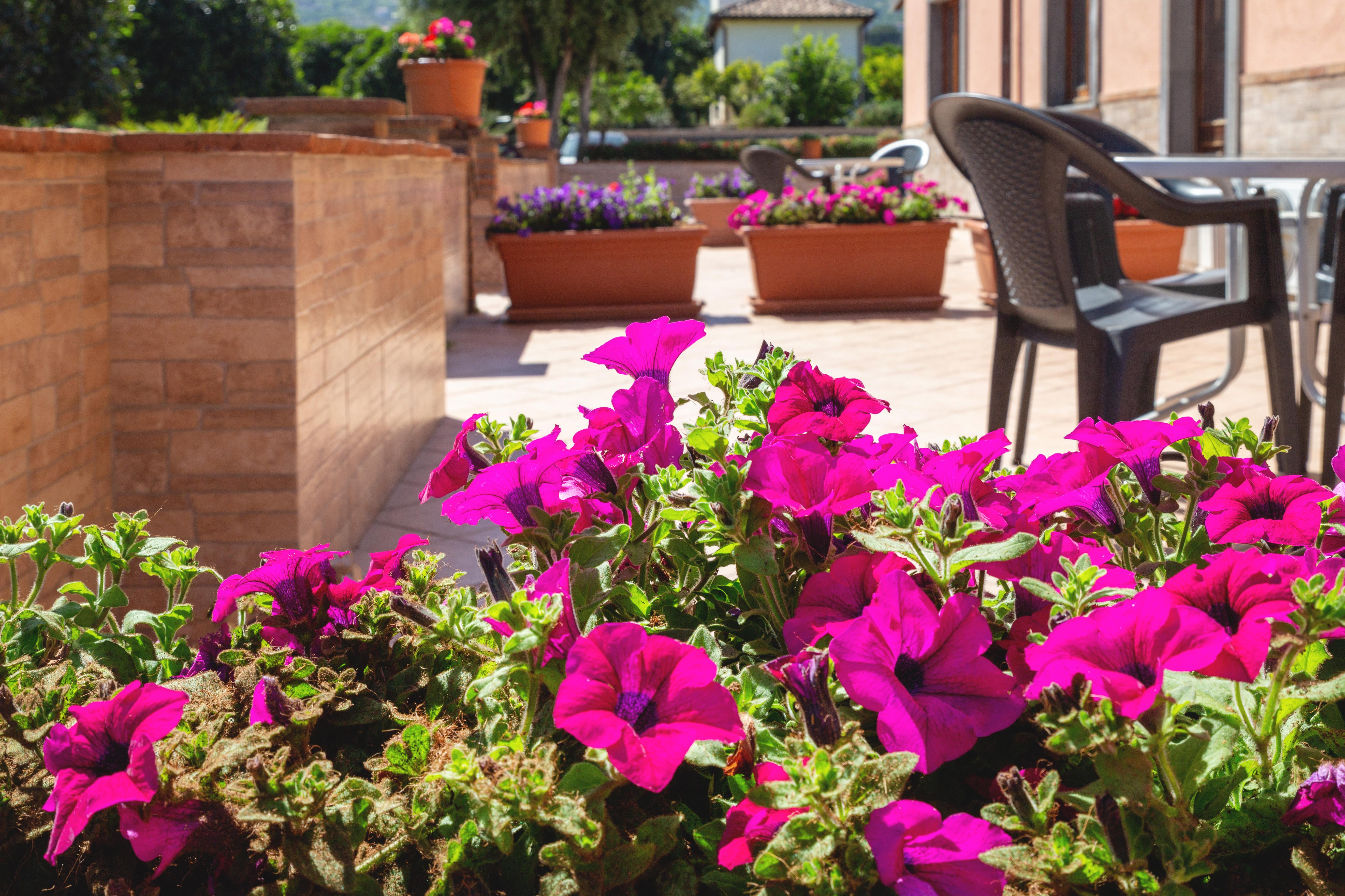 La Terra Dei Sogni Country Hotel Fiumefreddo di Sicilia Dış mekan fotoğraf