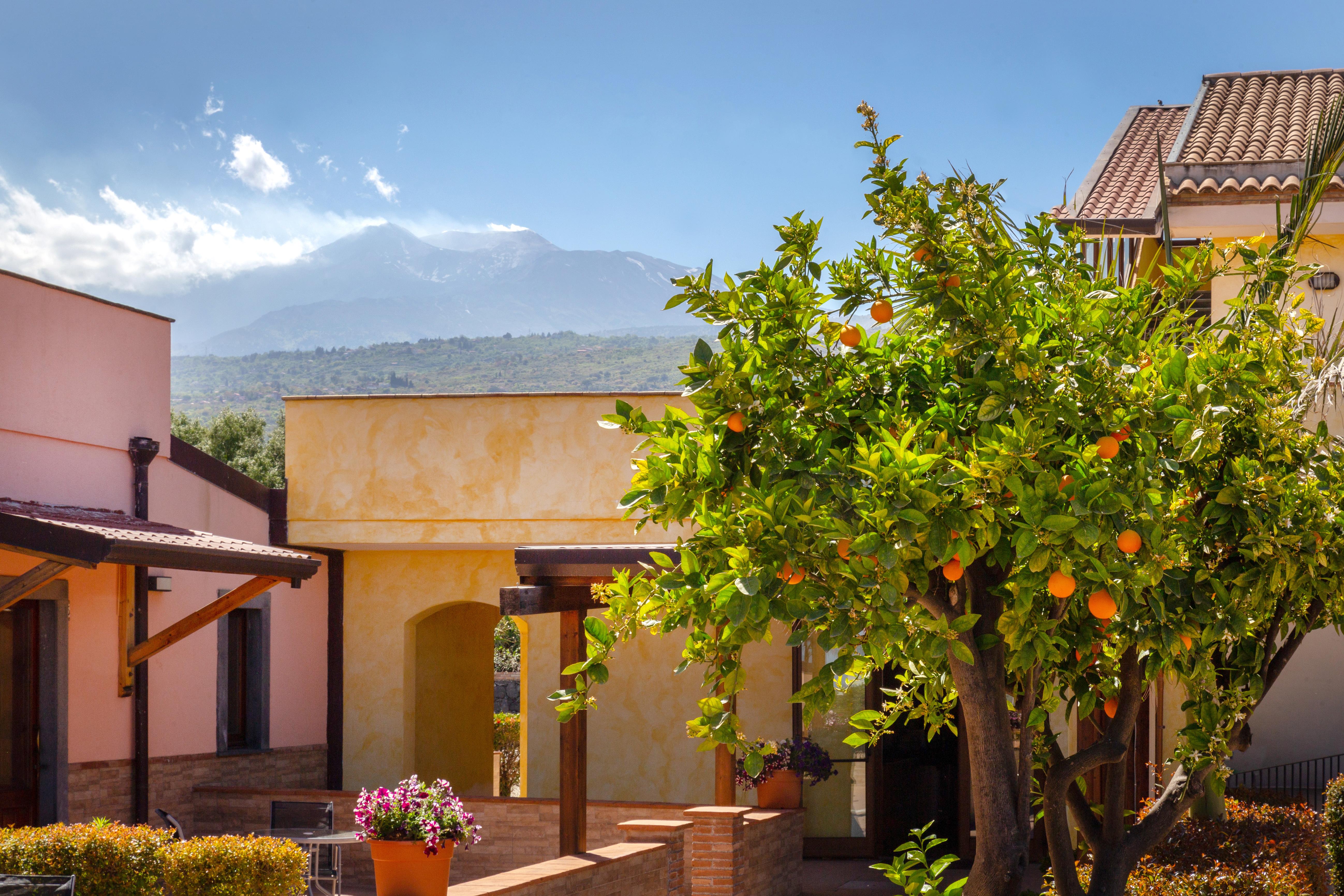 La Terra Dei Sogni Country Hotel Fiumefreddo di Sicilia Dış mekan fotoğraf